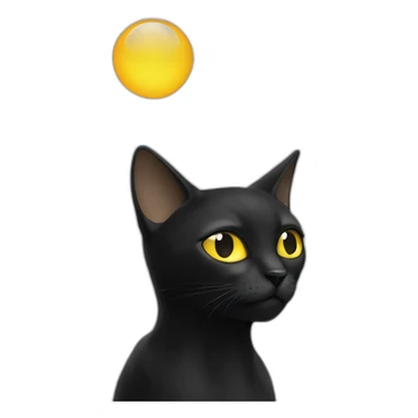 Chat noir sur chat blanc sticker