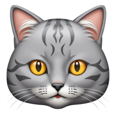 graue fluffige katze brittisch lang haar katze keine falten auf der stirn graue nase süß sticker