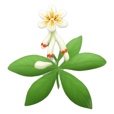 Indian Ginseng flower sticker