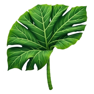 alocasia leaf sticker