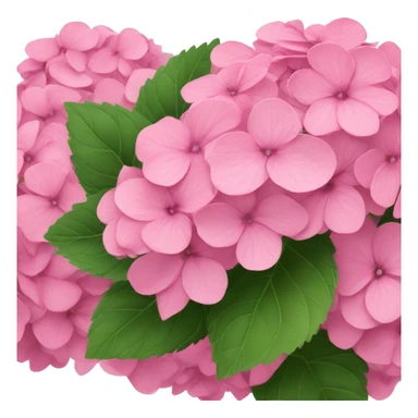 Pink hydrangeas  sticker