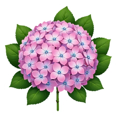 Hydrangeas  sticker
