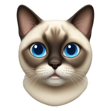 Fat Siamese cat blue eyes sticker