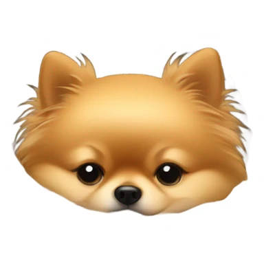 Pomeranian sleeping in dog bed sticker