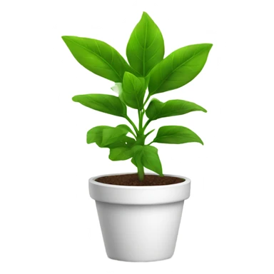 Green plant with a white pot sticker