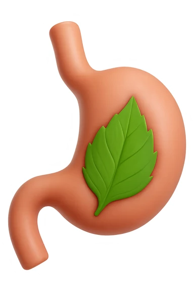 emoji stile iphone 3d di uno stomaco umano con una foglia di carciofo dentro, iperrealistico 4k sticker