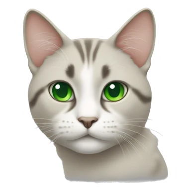 Greg cat with green eyes  sticker