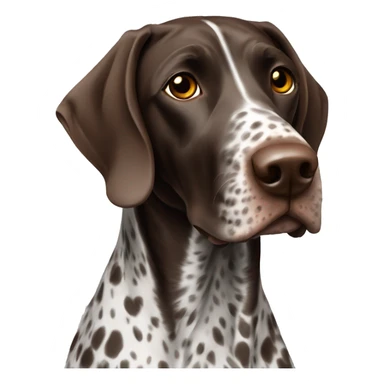 German shorthair pointer sticker