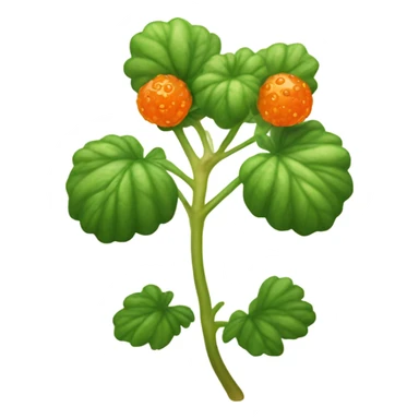 cloudberry sticker
