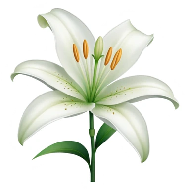 White lily flower sticker