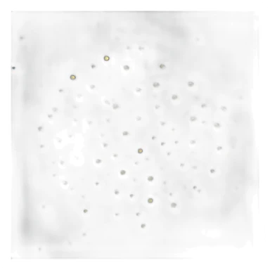 constellation sticker