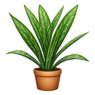 SANSEVIERIA sticker