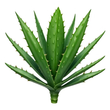single thick fleshy aloe vera leaf deep green with lighter spots or stripes gently toothed edges long tapered slightly curved smooth waxy surface no pot no cut section soft lighting subtle shadows emoji scale sticker