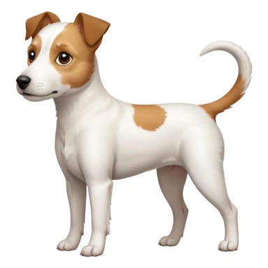 a full body slightly chubby white parson russell terrier looking dog the size of a kelpie with light brown long ears and a light brown patch on one eye and a large snout sticker