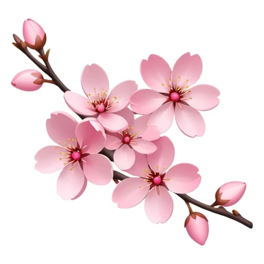Cherry blossom  sticker