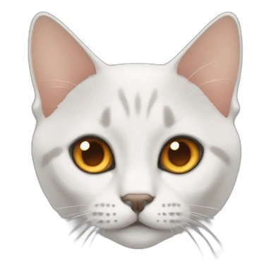 British short hair with orange eyes sticker