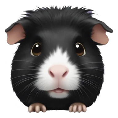 Black guinea pig sticker