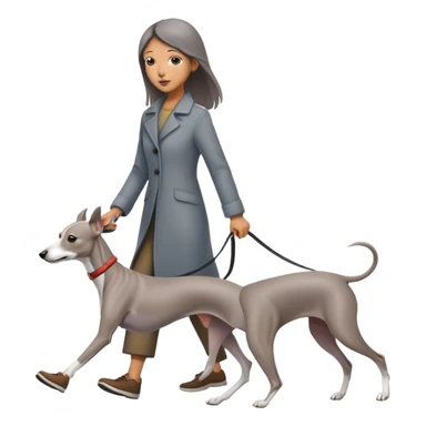 Beautiful Asian girl walking a solid grey Italian greyhound with absolutely no white markings, completely grey dog sticker