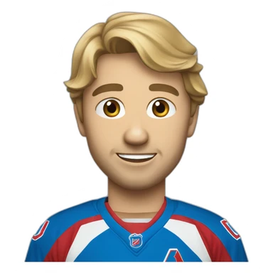 nordiques de québec sticker