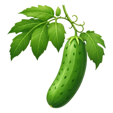 cucumber hangs on a palm branch sticker