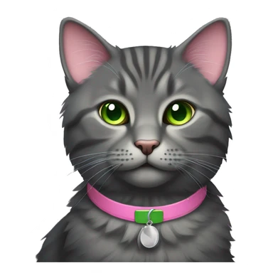dark grey fluffy tabby cat with green eyes and pink collar sticker