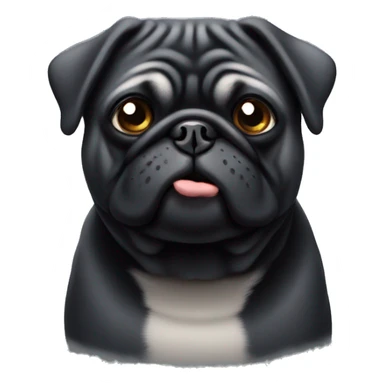 fat black old pug with grey face sticker