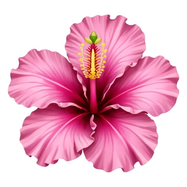 hibiscus blossom, pink petals sticker