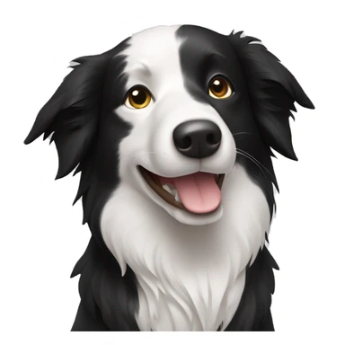 Border Collie schwarz weiß  sticker