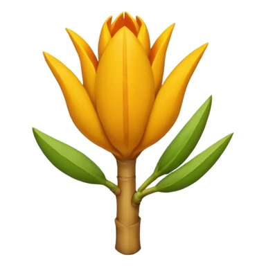 curcuma root sticker