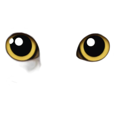 a photo of a cat sticker