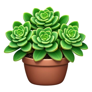 Cinematic Realistic Crassula Emoji, Compact and vibrant, with small, fleshy leaves arranged in thick, rounded clusters. The deep green hue of the leaves radiates calm, while their structured growth speaks of endurance. Soft glowing outline, capturing the essence of perseverance and tranquility in a crassula plant! sticker