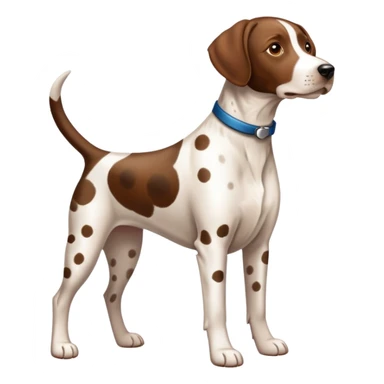 GSP dog sticker