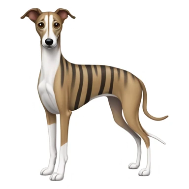 Brindle Whippet sticker