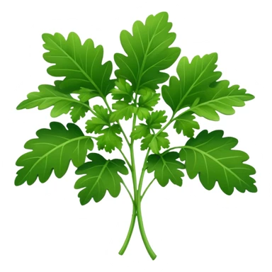 cilantro sticker