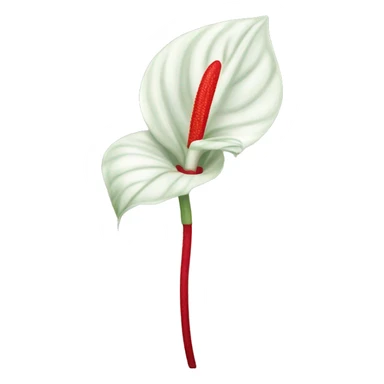 anthurium flower only sticker