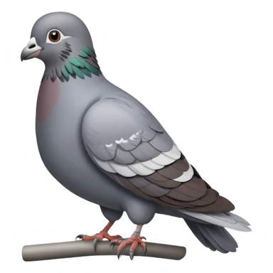 A pigeon wearing a watch  sticker