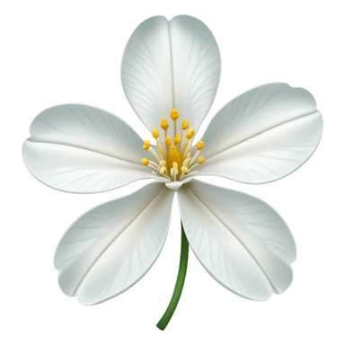 Flor lycosis radiata sticker