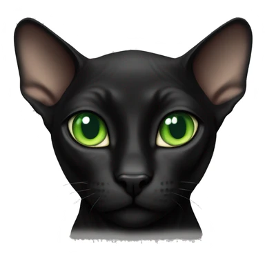 Black Sphinx cat with green eyes  sticker