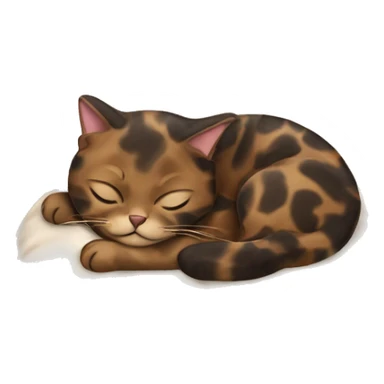 sleeping tortishell kitty   sticker