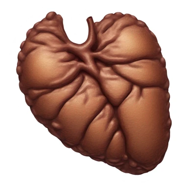 “A detailed illustration of a human liver, showing its shape, texture, and rich brown color, with subtle shading for depth.” sticker