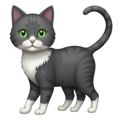 full body solid dark grey cat with green eyes, white paws and white whiskers walking sticker