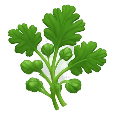 Cilantro sticker