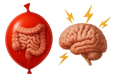 intestino umano anatomico chiuso in un palloncino rosso che simboleggia gonfiore, accanto un cervello anatomico con fulmini vicino che simboleggiano "stress", iperrealistico 4k sticker