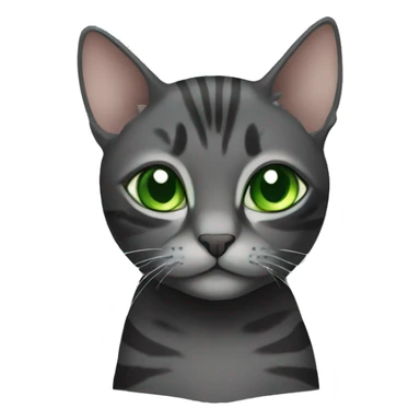 Black and grey cat with green eyes tabby sticker