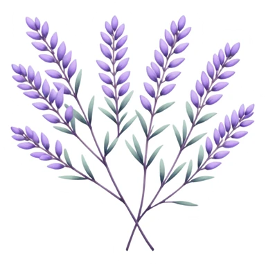 simple flower branches. The art style is clean line art with delicate watercolor textures, pastel colors, and a dominant palette of lavender, soft lilac, and muted purple. Let the branch be more elongated and have short branches on it like ears of corn. sticker