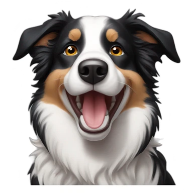 Happy border Collie named Roy sticker