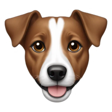 full brown jack russell with no white sticker