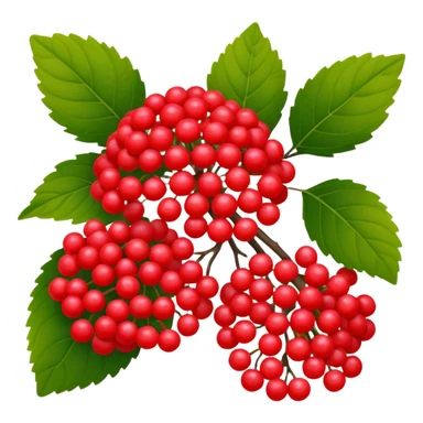 Red viburnum sticker