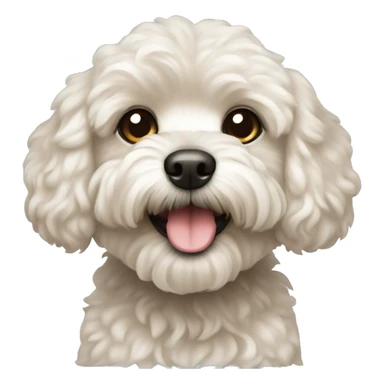Dog maltipoo sticker