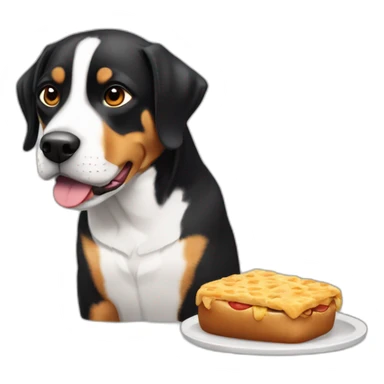 Entlebucher zennenhund eating sticker